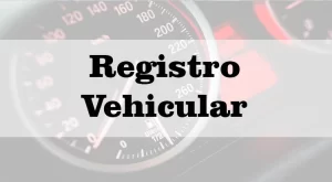 registro vehicular